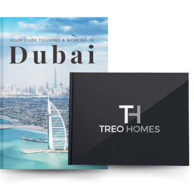 Here's your FREE Guide to Living & Working In Dubai (1)